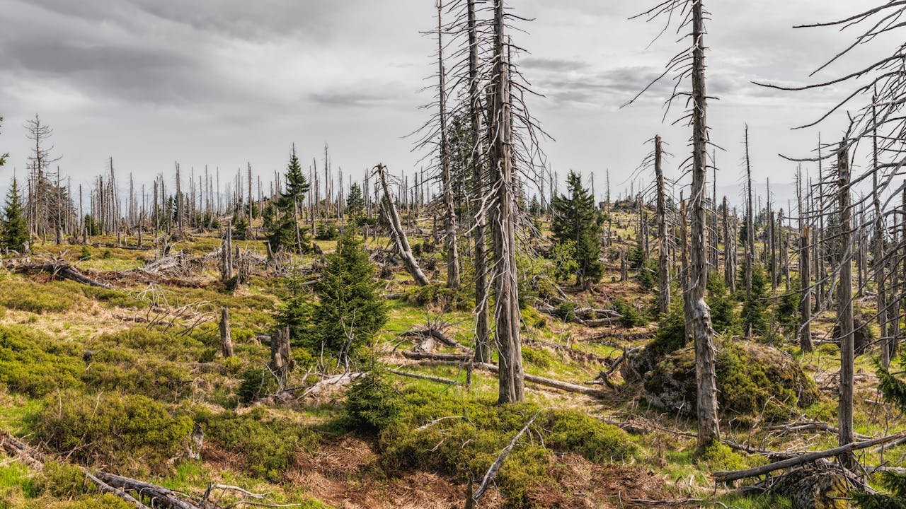 The Global Threat of Drought